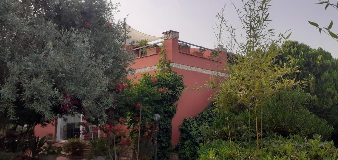 Il Vecchio Lentisco Lejlighed Alghero Eksteriør billede